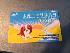 -爱侣宠医·鹦鹉专科·小型哺乳类·异宠专科(灵石路店)