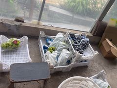 -马陆小张葡萄园农家乐