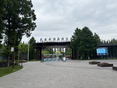 -黄海国家森林公园