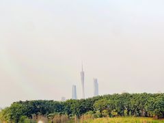 -海珠湖公园