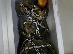 -七的湖·晚芳亭·阳澄湖农家菜·大闸蟹(莲花岛店)