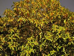 -杭州城北体育公园