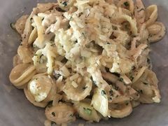 -Wagas沃歌斯(大学路店)