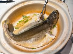 -潮堂 · 潮州菜(国贸商城店)