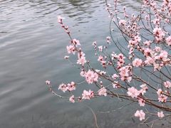 -颐和园