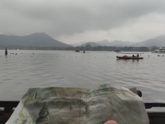 -西湖外事游船(花港观鱼码头)