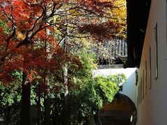 -西园戒幢律寺