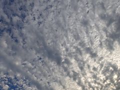 -徐州龟山景区