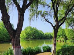 -西安浐灞国家湿地公园