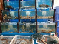 水产区-老东镇啤酒屋海鲜加工·蒸汽海鲜·海鲜烧烤(台东店)