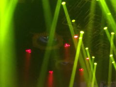 -TT CLUB 酒吧