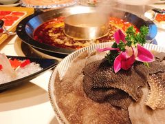 -酒城大贰火锅旗舰店