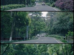 -铁山坪森林公园