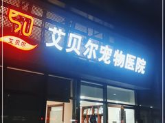 -艾贝尔宠物医院·24H转诊中心·肿瘤猫专科(江宁双龙店)