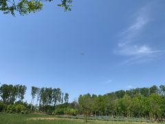 -东郊湿地公园