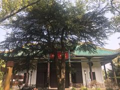 -古琴台
