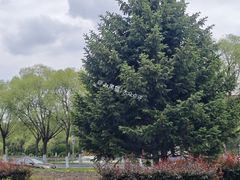 -哈尔滨师范大学(松北校区)
