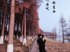 -苏州太湖国家湿地公园