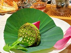 -叶叶菩提(太原别墅店)