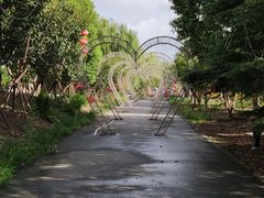 -上海杨姆庄园