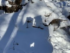 -峡谷浮石林景区