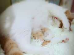 -小时光咖啡馆(开森度假森林店)