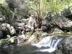 -宁波五龙潭景区