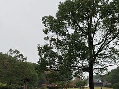 -陶祖圣境风景区