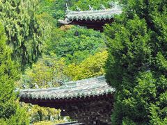 -报恩寺(平武县)