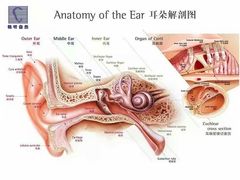 -自然之声助听器·呼吸机(东风大街店)