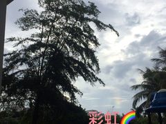-三亚亚龙湾雅高美爵酒店