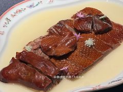 -子福慧(虹桥店)