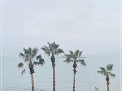 -湄洲岛