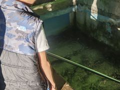 -姥家大锅台水库渔家