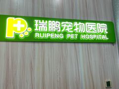 -瑞鹏宠物医院·微创内窥镜·骨外科·牙科(翠竹分院)
