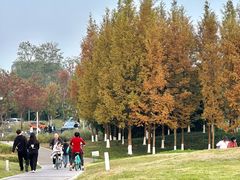 -白鹭湾湿地公园