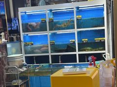 -金龙·打边炉(南京西路店)