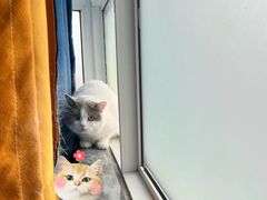 -红星国际广场