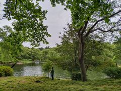 -上海共青森林公园