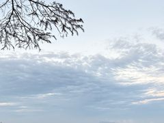 -九华山风景区月身宝殿