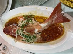 东星斑-明珠海港大酒店