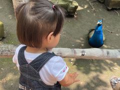 -哈尔滨北方森林动物园