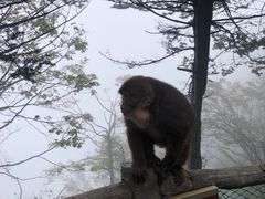 -峨眉山风景名胜区