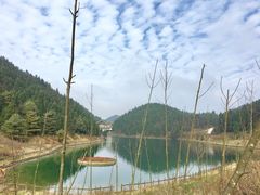-武陵山森林公园