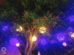 -海市蜃楼花园主题餐厅(石顶店)