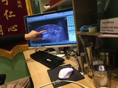 -雨林宠物医院 非犬猫异宠专科