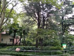 -华山儿童公园