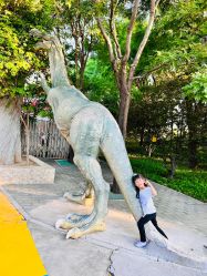 -大望京儿童游乐场