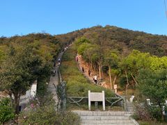 -梧桐山风景名胜区