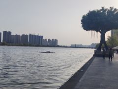 -咸阳湖景区